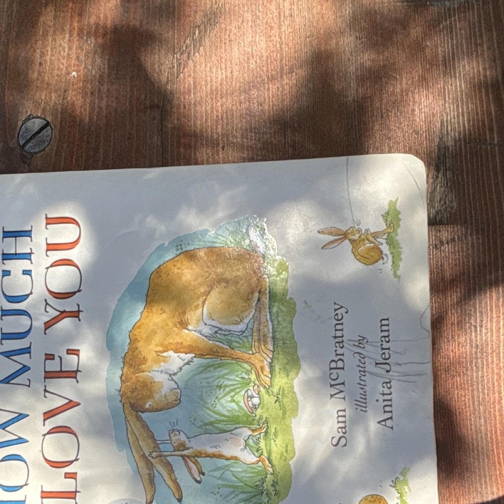 Guess How Much I Love You Board Book Illustrated Jeram Ages 4-8 1994